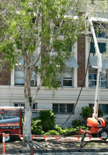 Cleaning Multi-Storey Buildings in Cairns and Far North Queensland