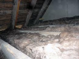 Gutter-Vac Central West Cleans Ceiling Cavities in Orange NSW – What’s In your Ceiling Cavity?