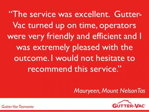 What a Great Review From This Hobart Gutter Cleaning Customer