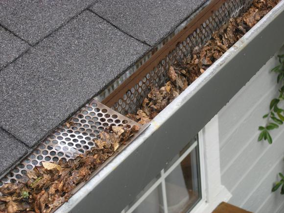 5 things every Northern Beaches property owner should consider before choosing a gutter guard system