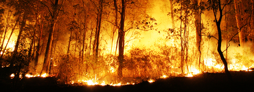 Are You Ready for Bushfire Season?