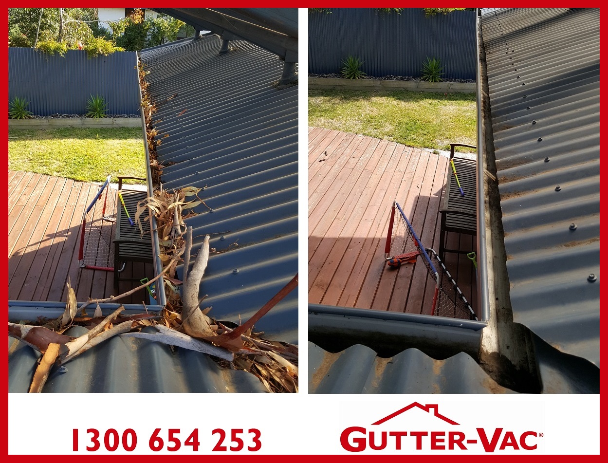 Gutter Cleaning For Gum Trees