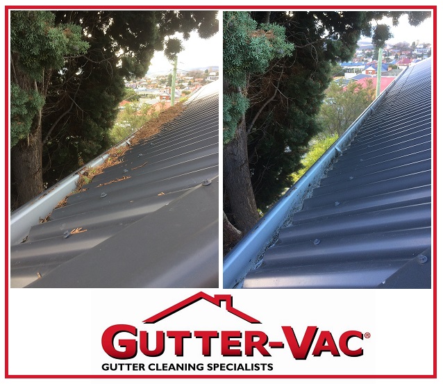 Regular Gutter Cleaning Required With Trees Near Your Property.