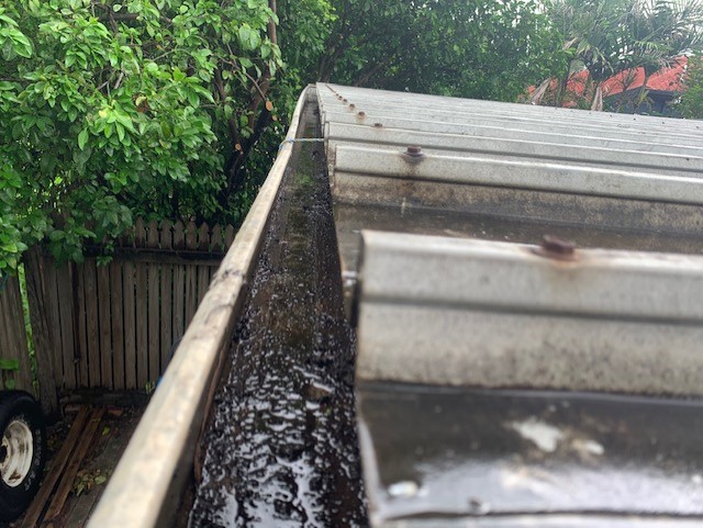 Stop the Mosquitoes, Have Your Gutters Cleaned Today