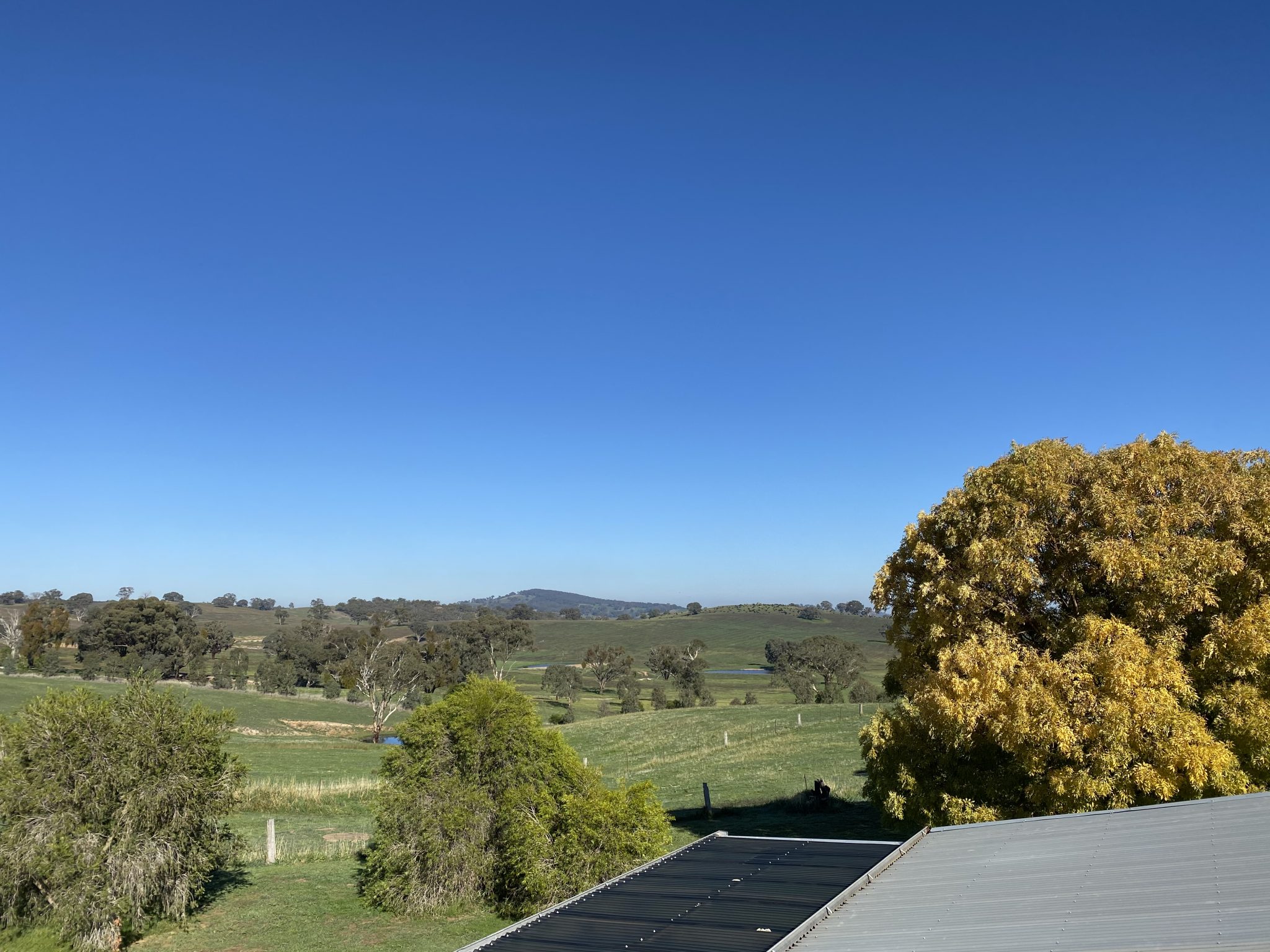 Office View while Gutter Cleaning at Mandurama NSW