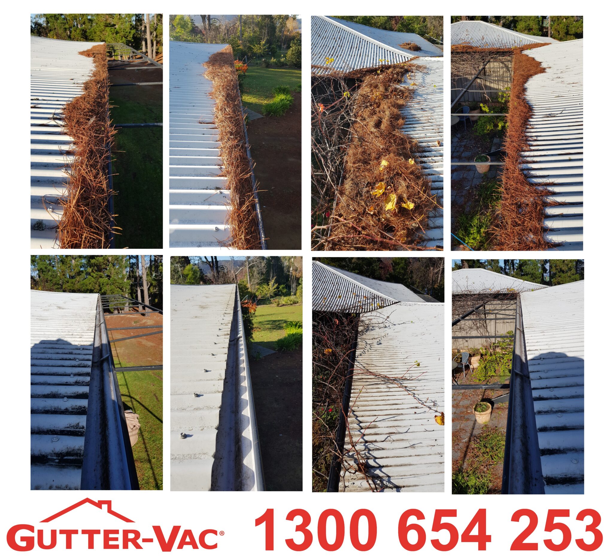Got Issues With Pine Trees and Need Gutter Cleaning