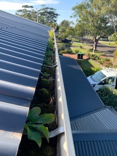 Minimal Trees or No Trees Around?… A Gutter Clean Is still a Good Idea