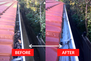 Neutral Bay Gutter Cleaning