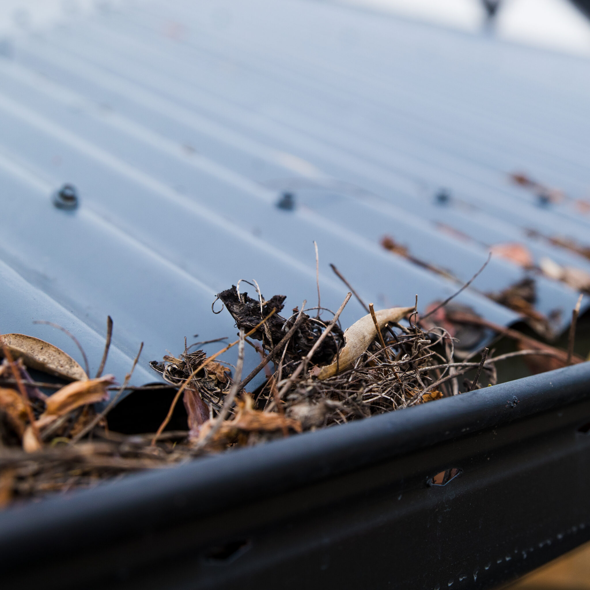 Common Causes of Gutter Leaks and How to Avoid Them