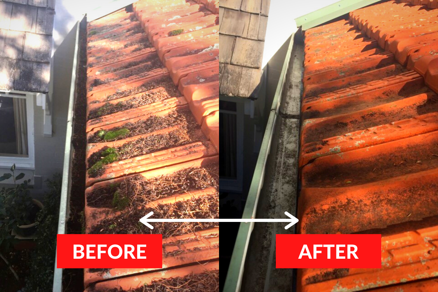 We would highly recommend Gutter-Vac Lower North Shore