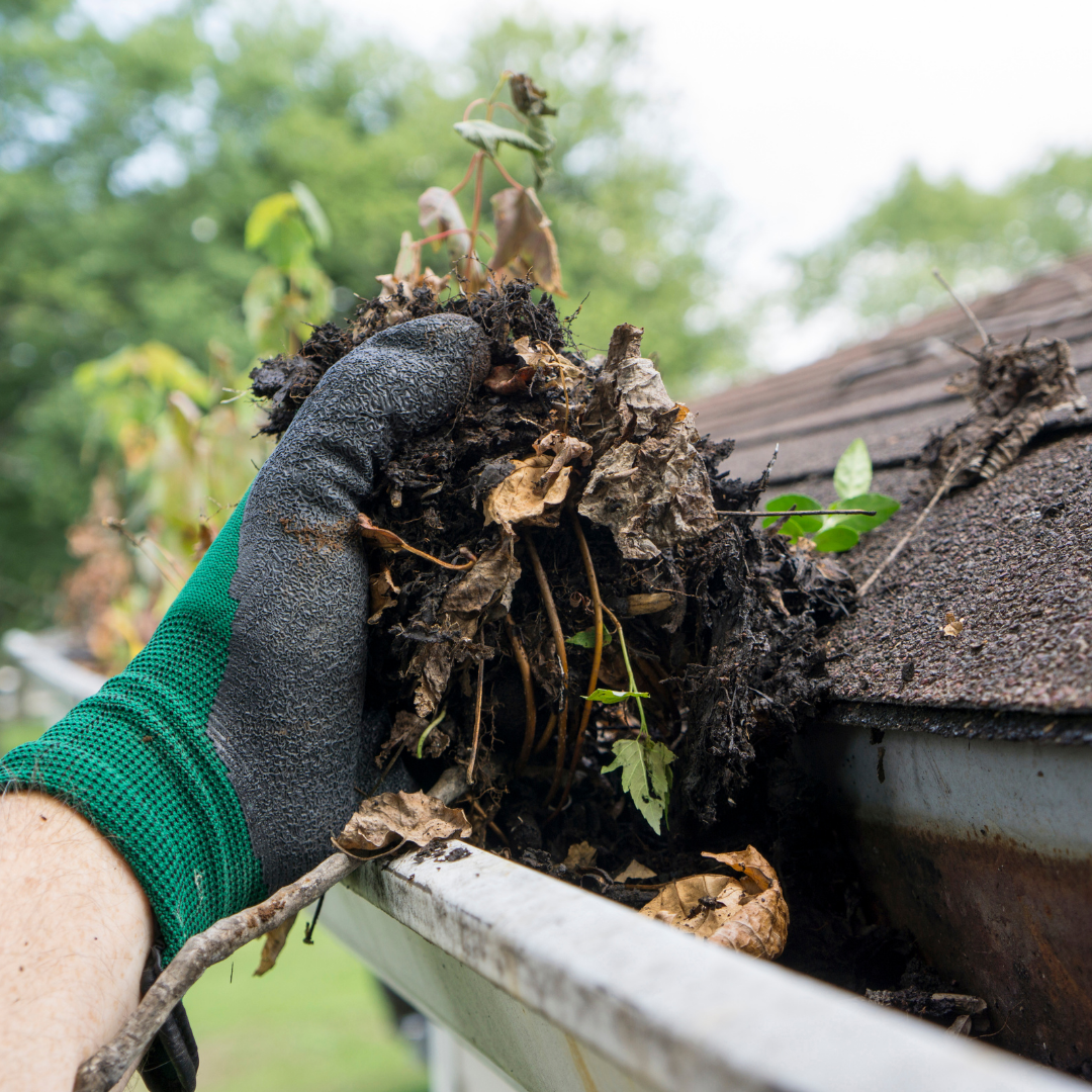 5 Common Problems Caused by Clogged Gutters
