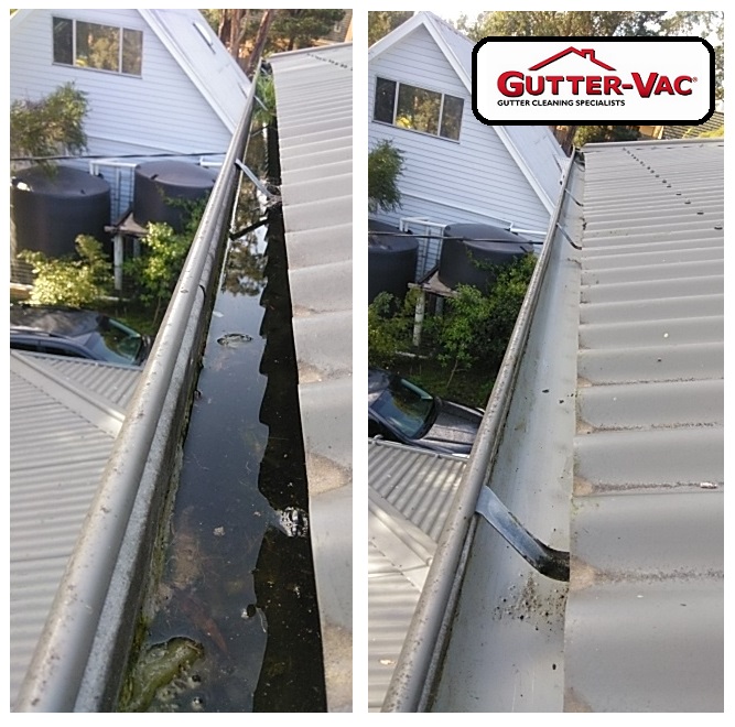 Gutter Cleaning in Coningham, An Incredible Job