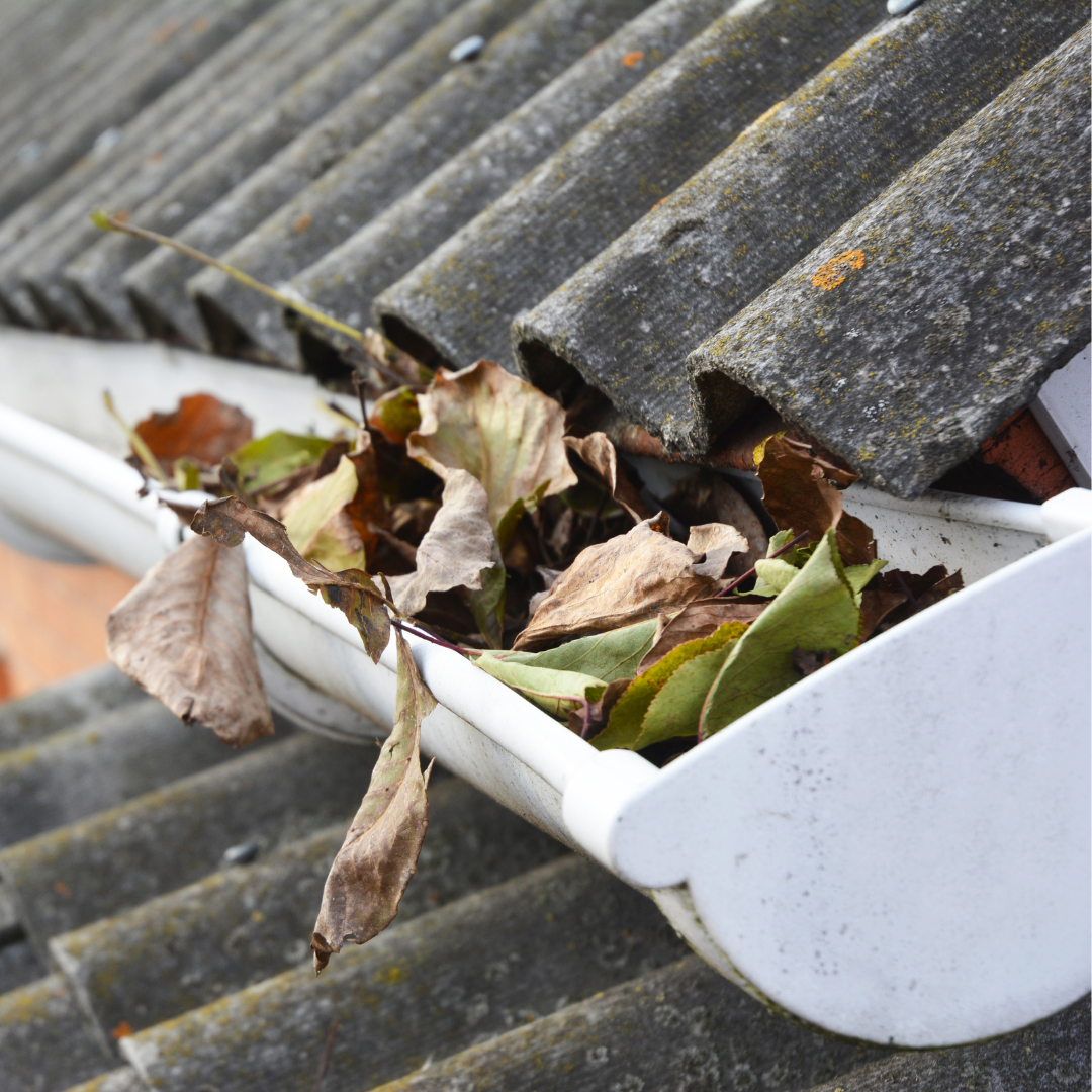 Your Guide to Rain Gutter Cleaning and Maintenance