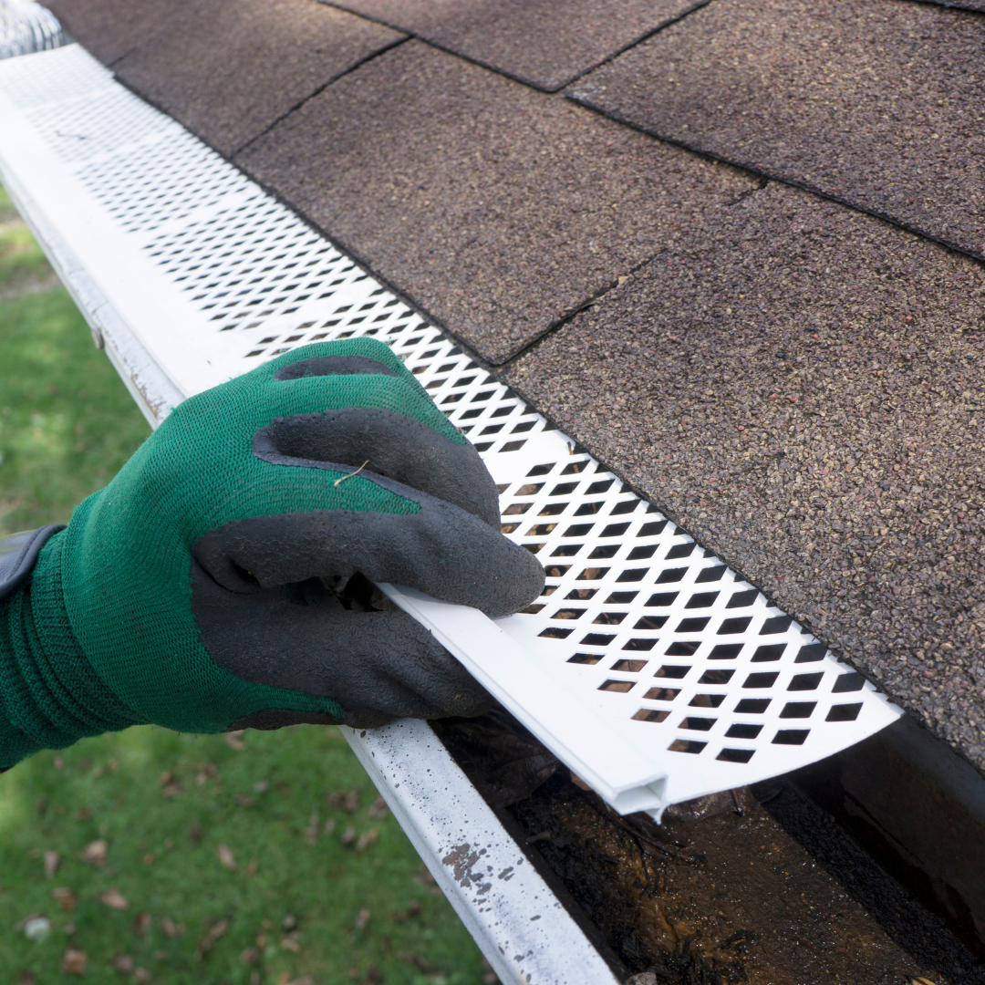 5 Incredible Ways To Keep Insects Out of Your Gutters
