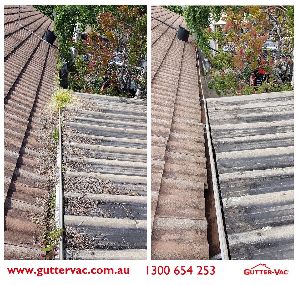 Glenorchy Gutters in Desperate Need of a Clean