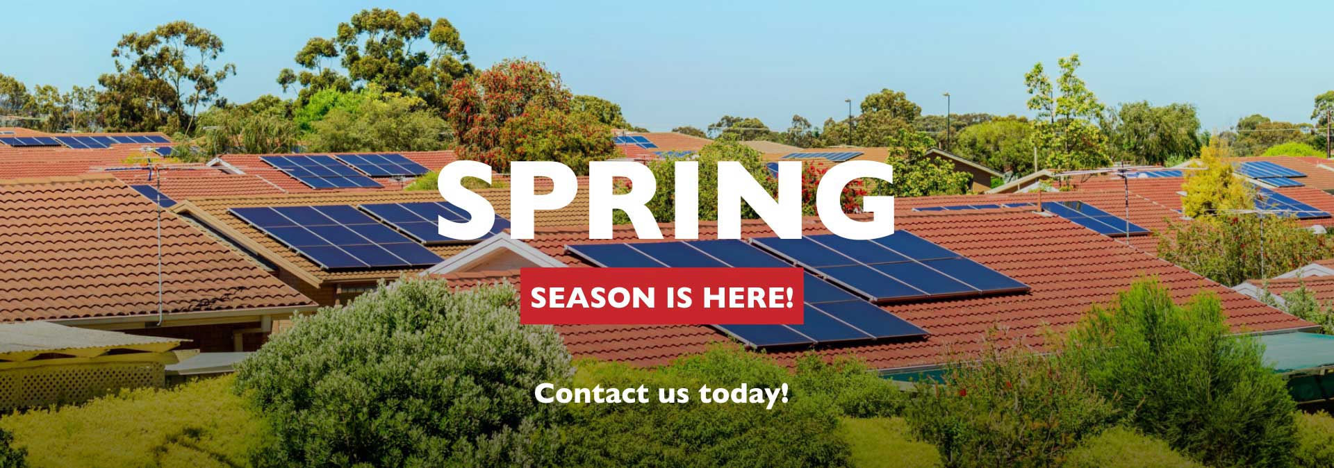 Spring season is here