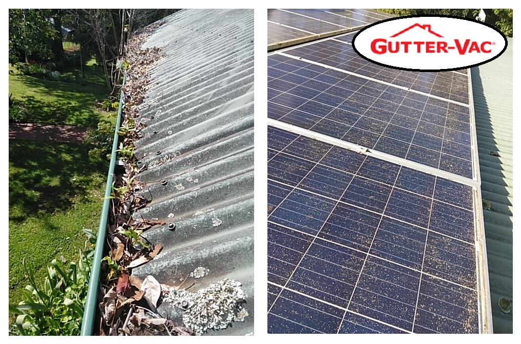 Northern Tasmania Enjoys Gutter Cleaning and Solar Panel Cleaning