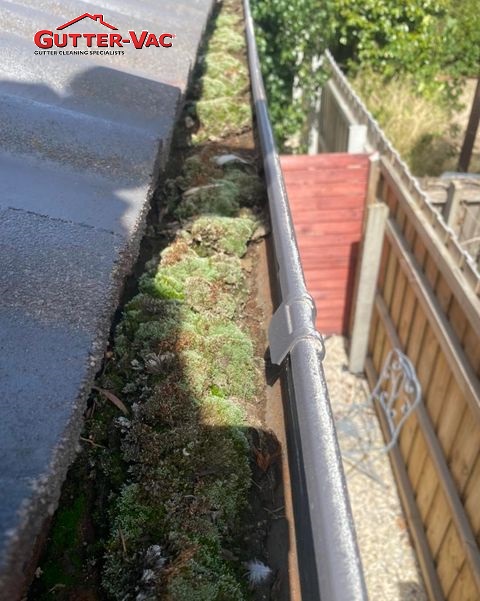 A Maintenance Plan For Gutter Cleaning