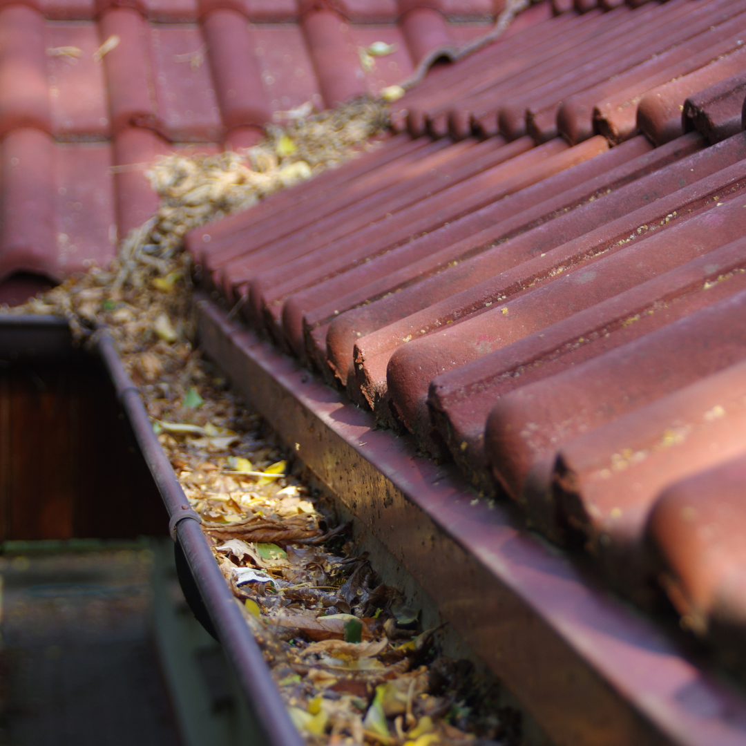 5 Signs You Have Clogged Gutters
