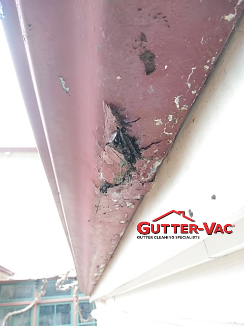 Signs your gutter systems may need replacing