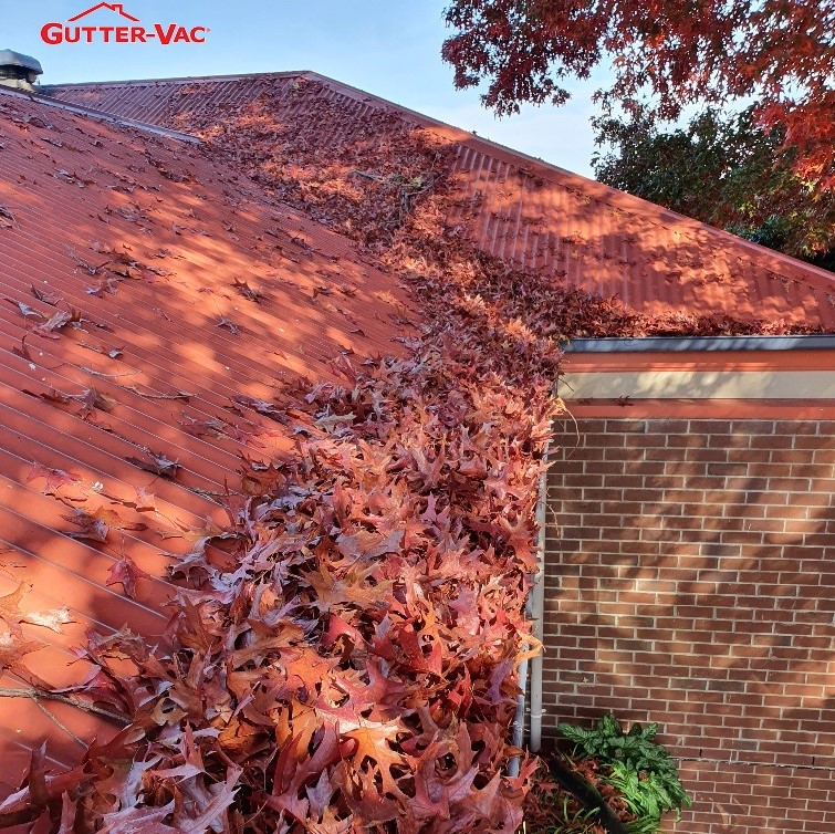 Why it is important to clean gutters in Autumn?