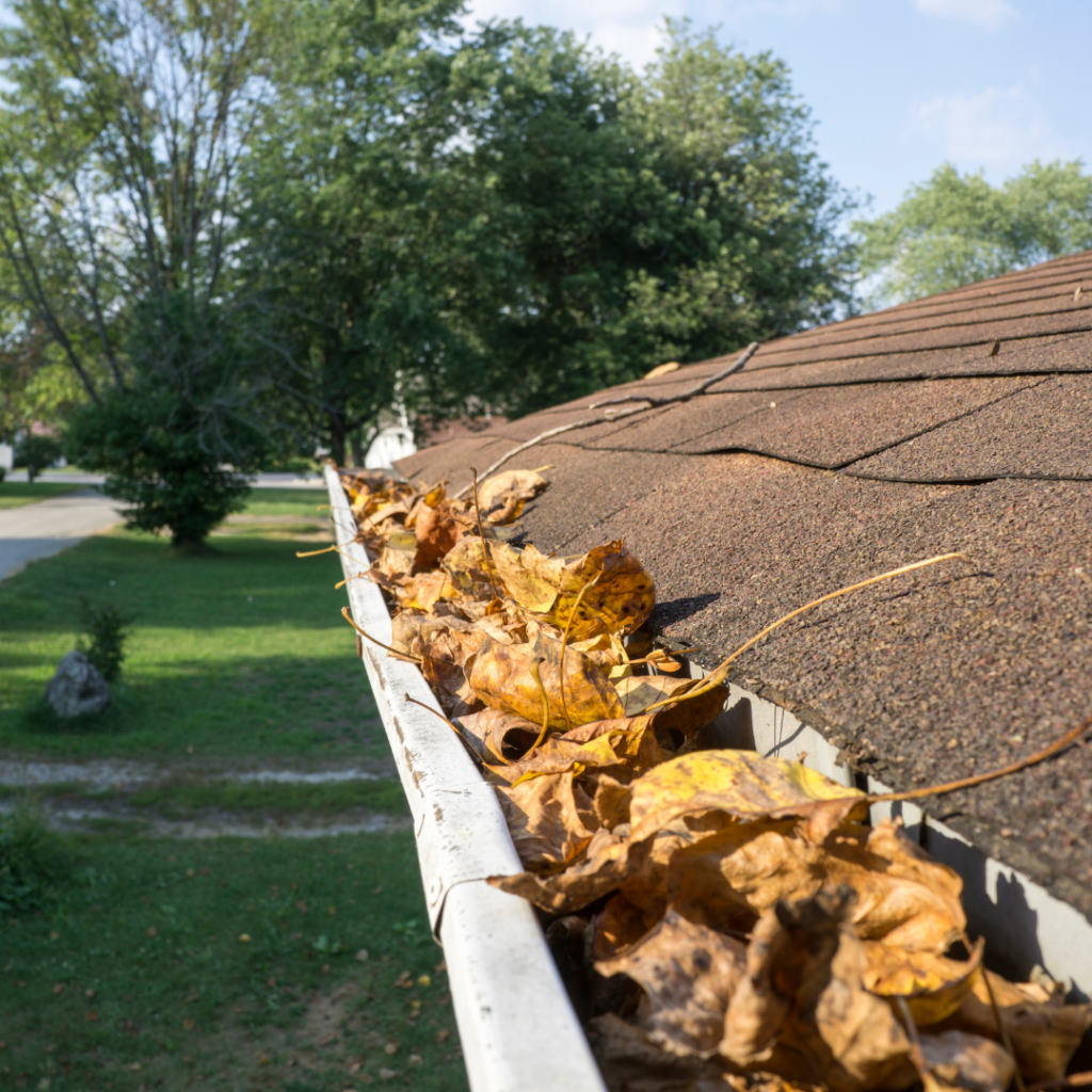 Should I Clean My Gutters In Autumn?