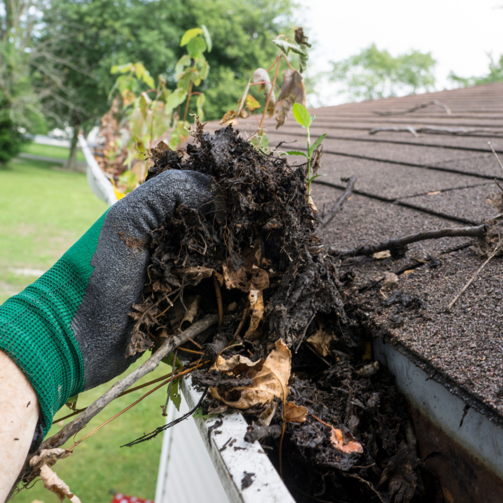 Warning Signs Concerning Mosquitoes and Clogged Gutters. gutter vac gold coast south tweed coast