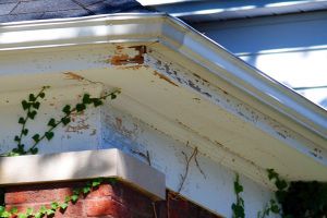 Gutter Vac Gold Coast South Tweed Coast mould gutters Signs Your Gutter Systems May Need Replacing