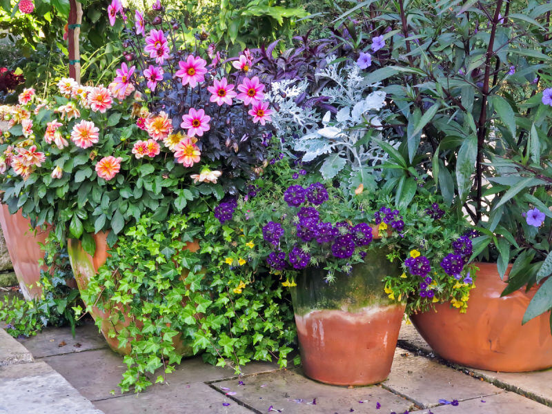 potted plants Tips to Get Your Home Ready for Spring