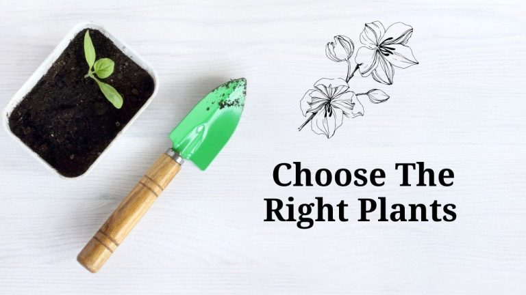 choose the right plants Tips to Get Your Home Ready for Spring