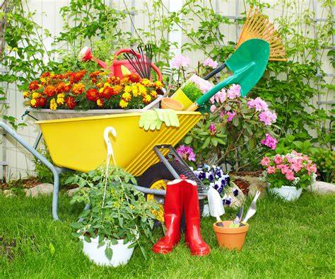revitalise your garden Tips to Get Your Home Ready for Spring