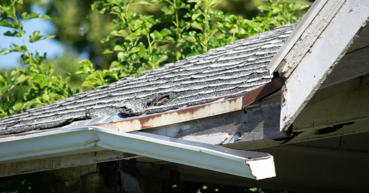 The Hidden Costs of DIY Gutter Cleaning: Why Hiring a Professional Is Worth It