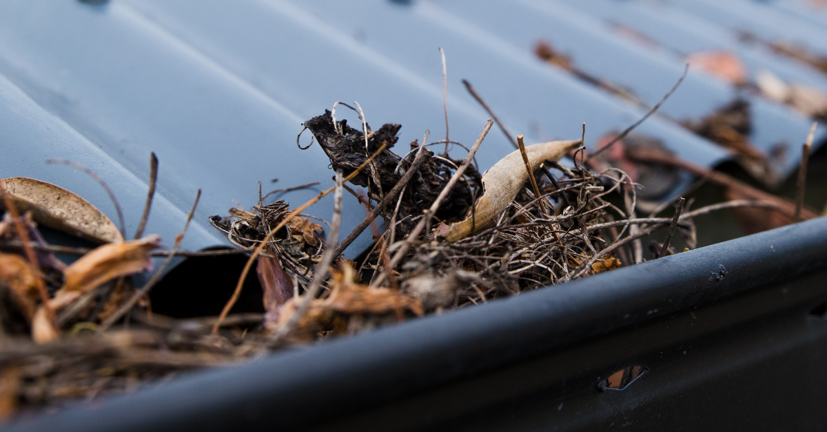 The ultimate guide to seasonal gutter cleaning in Oakleigh