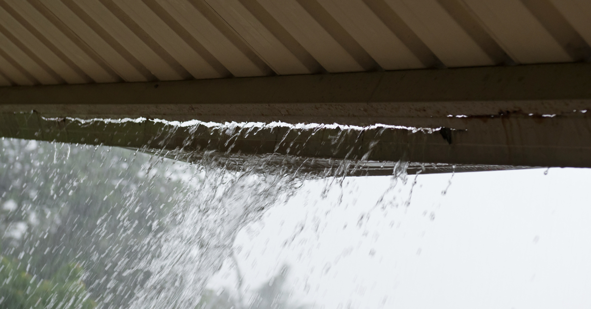 Protecting your Tasmanian home from water damage with proper gutter care