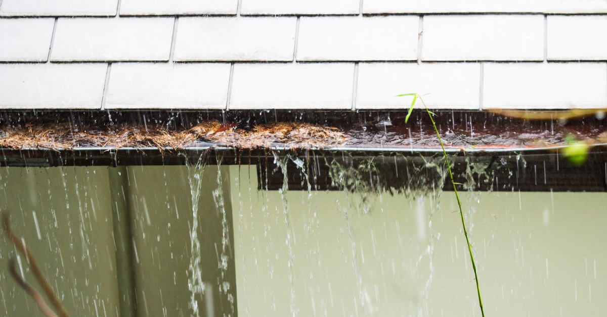 Tasmania’s rainfall and your gutters: A maintenance guide