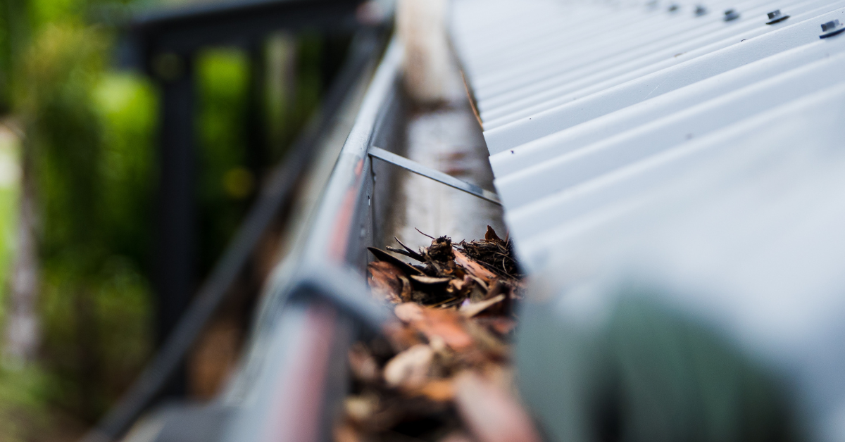 Combating leaf blockage: Gutter-Vac Sutherland Shire’s approach to a common problem